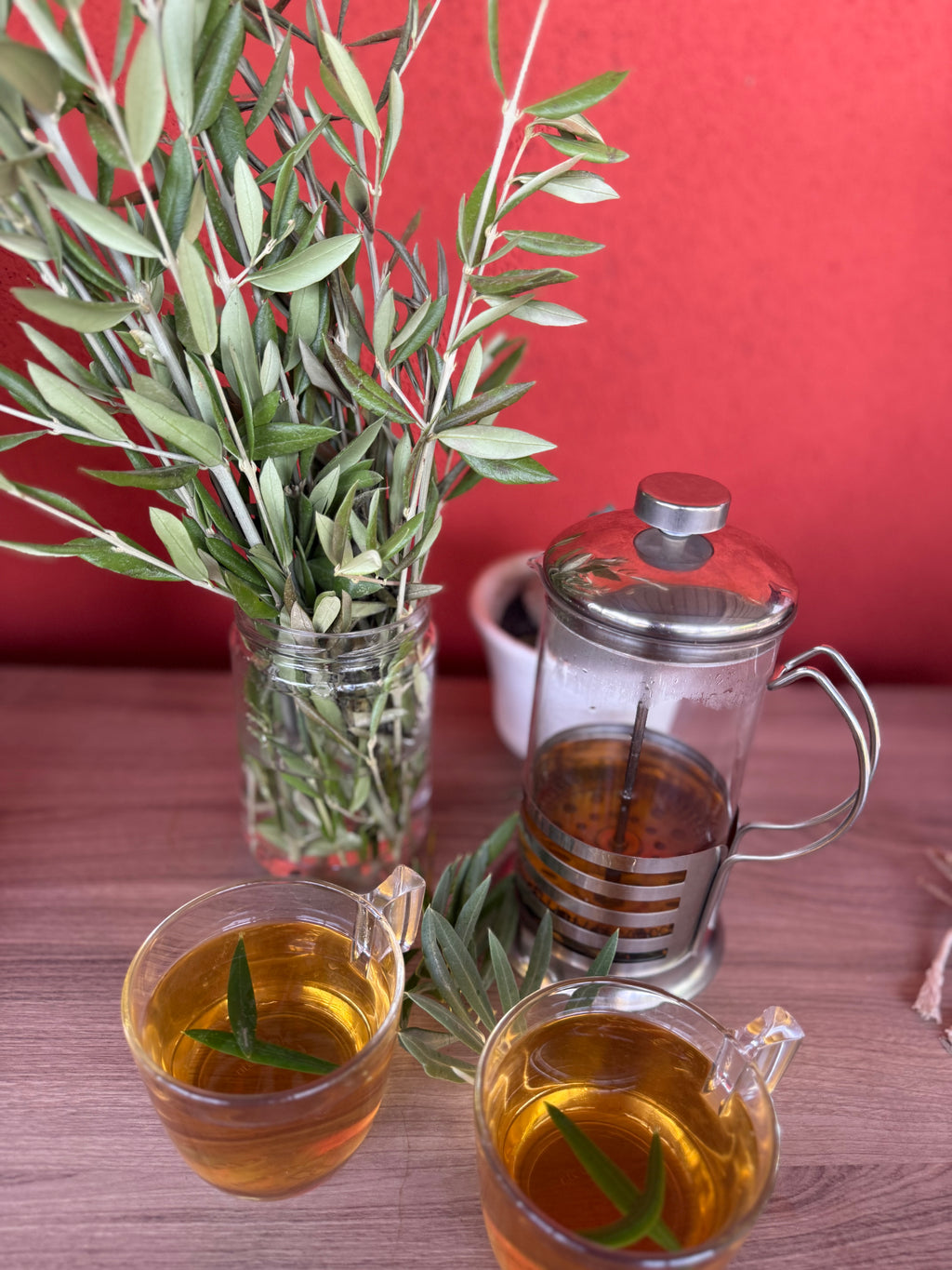 Organic Olive Leaves | Hand-Harvested in Spain