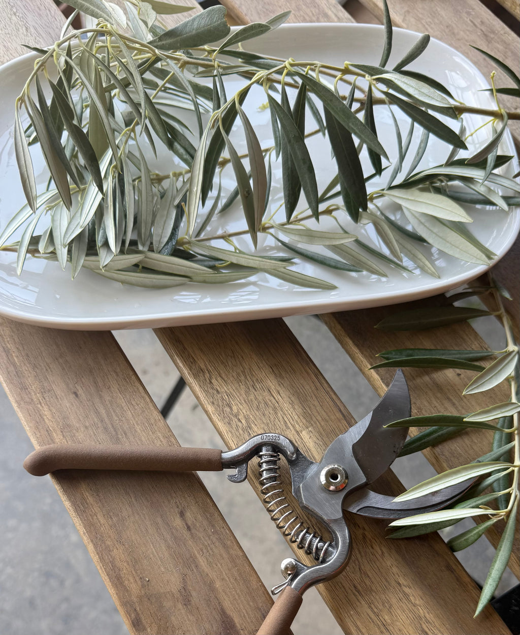 Organic Olive Leaves | Hand-Harvested in Spain