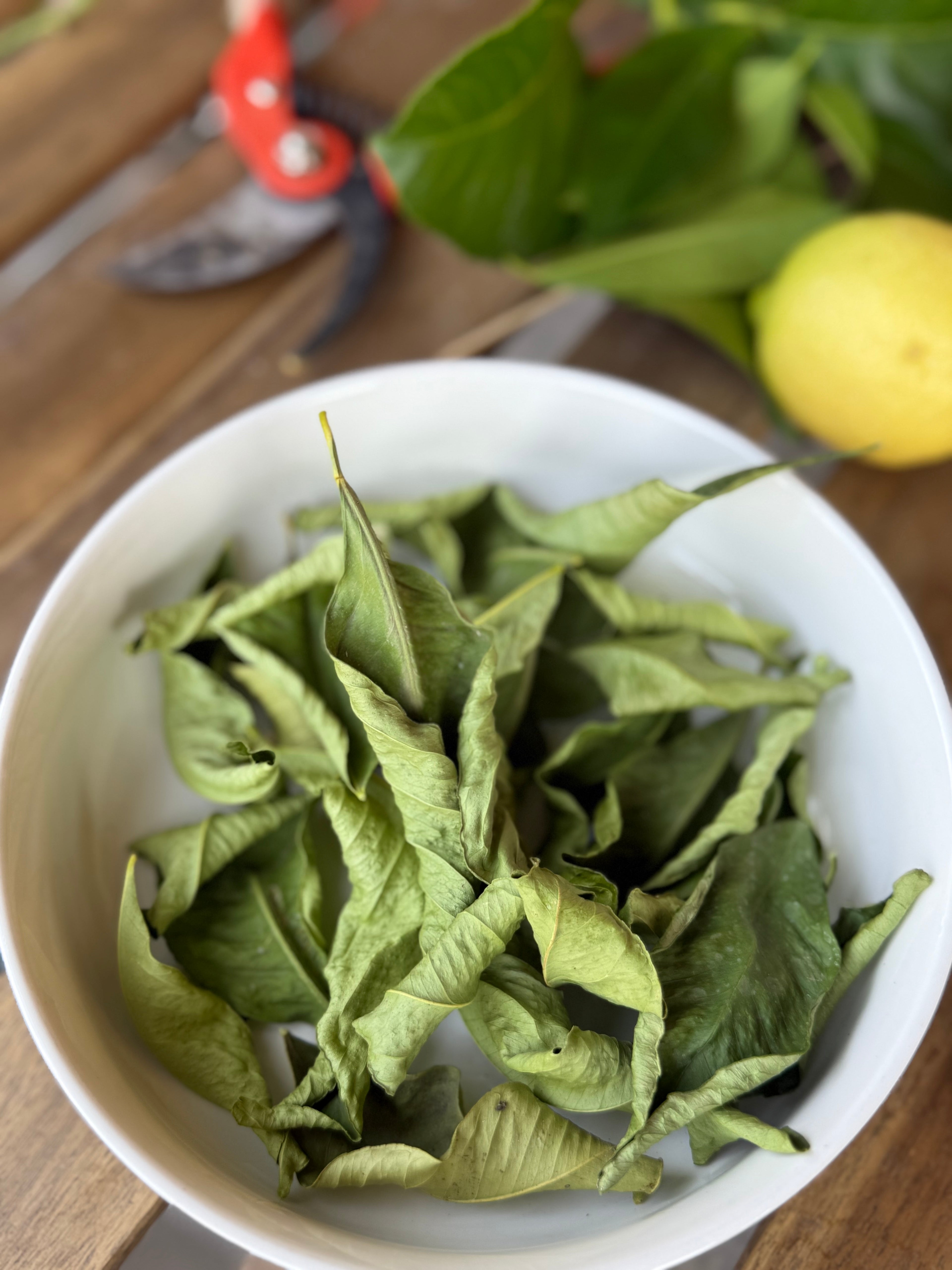 Organic Lemon Leaves| Hand-Harvested in Spain
