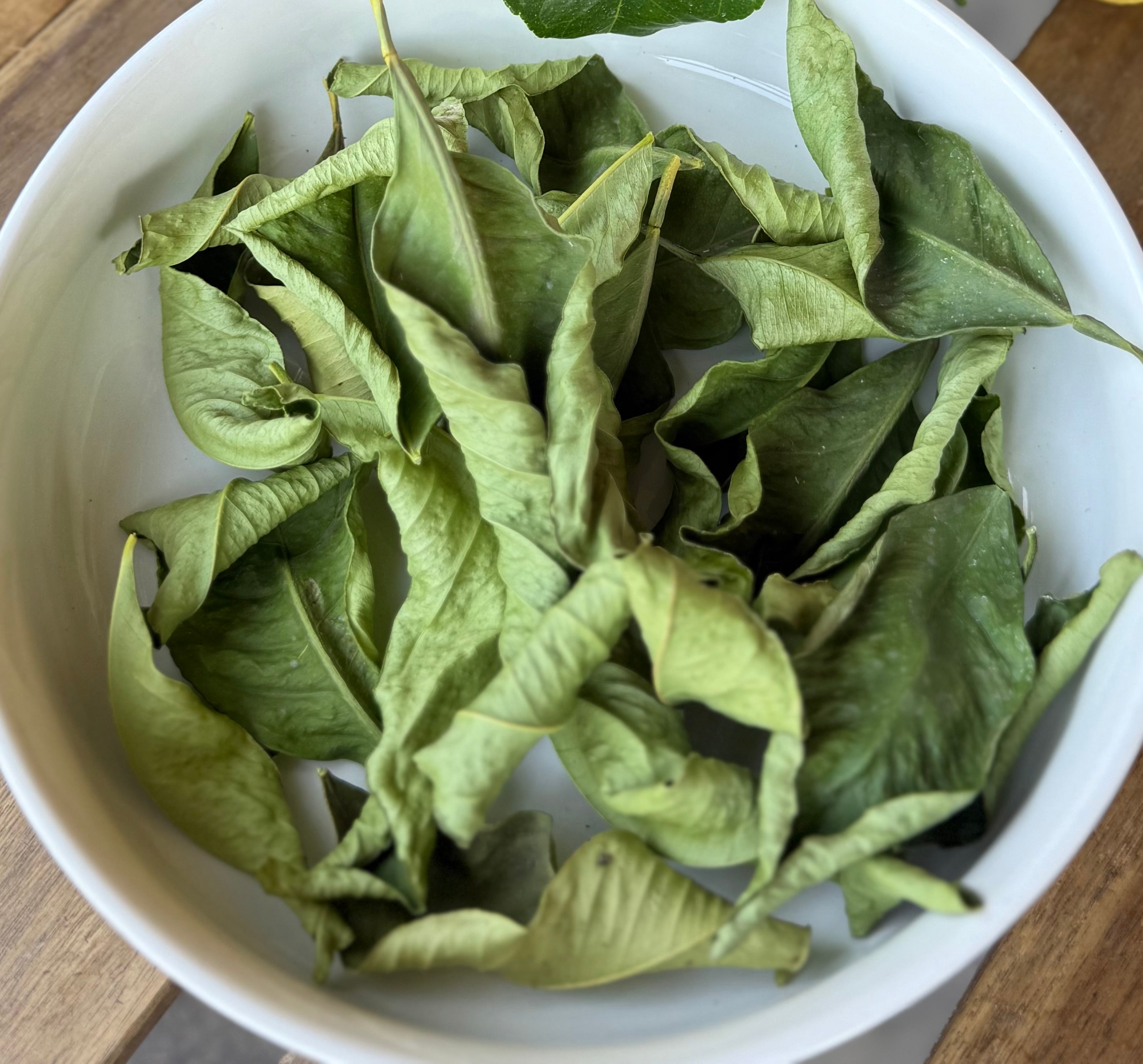 Organic Lemon Leaves| Hand-Harvested in Spain
