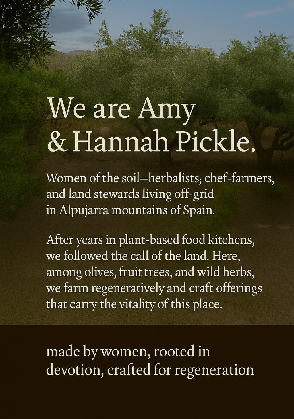 Organic Olive Leaves | Hand-Harvested in Spain