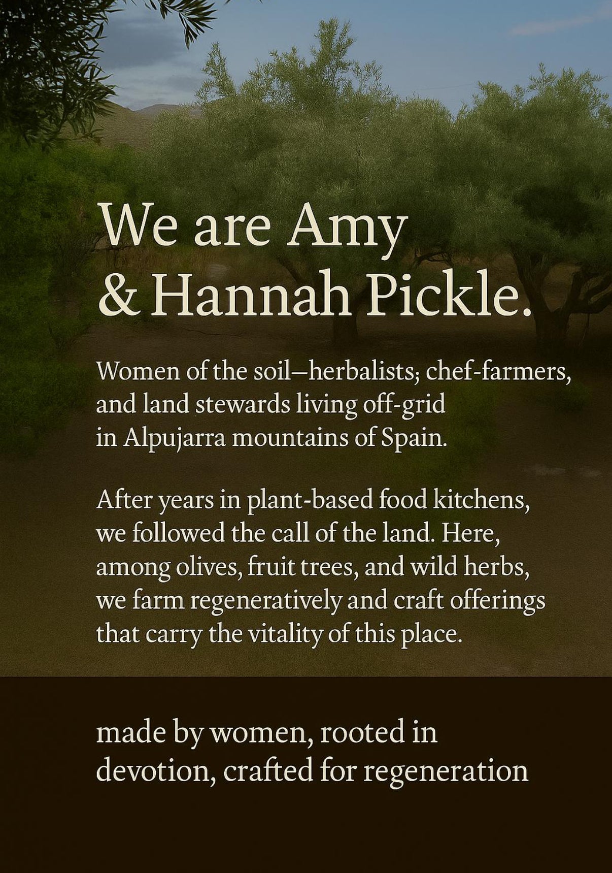 Organic Olive Leaves | Hand-Harvested in Spain