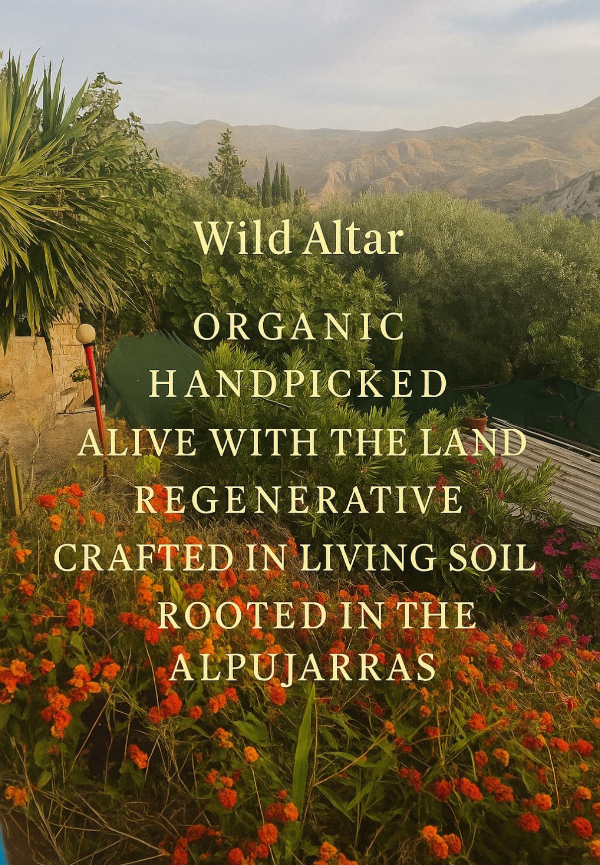 Organic Lemon Leaves| Hand-Harvested in Spain