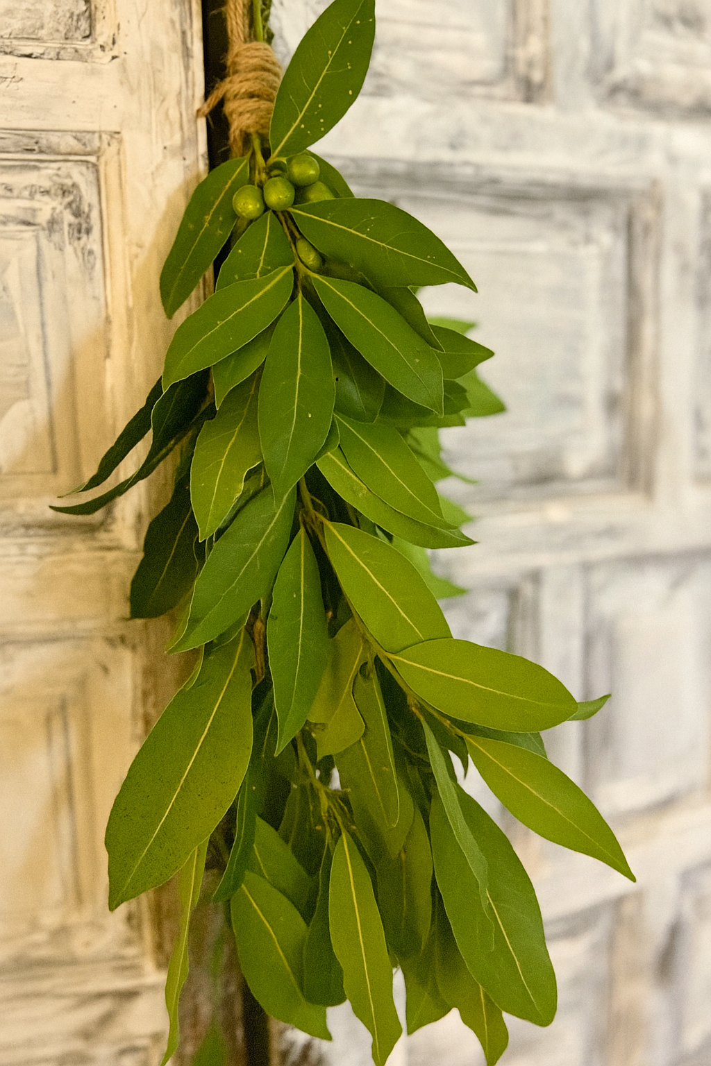 Culinary Bay Leaf Bundle For Kitchen, Hearth & Home